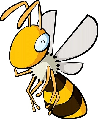 Honey bee